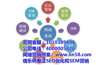 福鼎市网络营销 网络营销方案 信乐林 优质商家